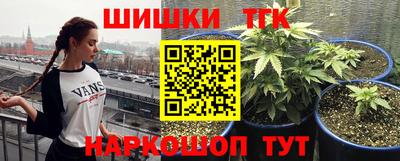 стаф Бузулук