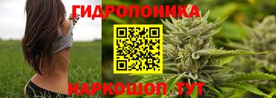 mdpv Будённовск
