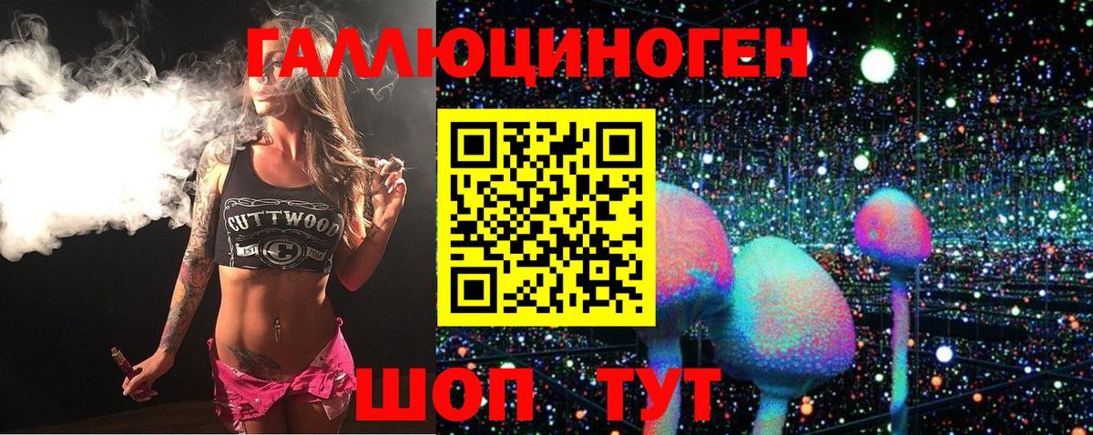 Галлюциногенные грибы Psilocybine cubensis Родники